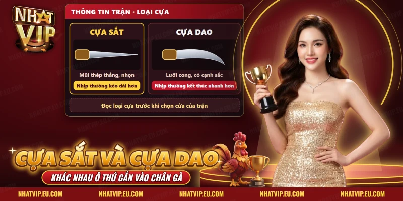 Đá gà cựa sắt và cựa dao Nhatvip với mũi thép thẳng đặt cạnh lưỡi dao cong