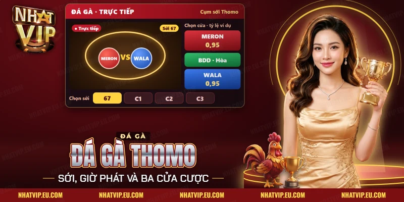 Đá Gà Thomo Nhatvip – Các Sới, Cách Xem Và Cược Một Trận