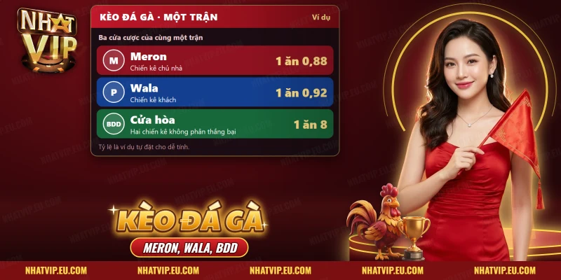 Kèo Đá Gà Meron Wala BDD Nhatvip – Đọc Cặp Tỷ Lệ Và Phần Giữ