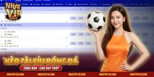 Kèo Tài Xỉu Bóng Đá Nhatvip – Cách Đọc Và Mẹo Bắt Kèo