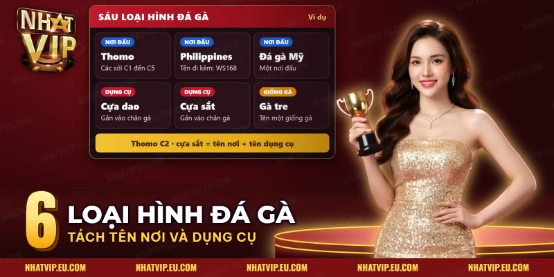 Sáu loại hình đá gà SV388 gồm Thomo, Philippines, đá gà Mỹ, cựa dao, cựa sắt và gà tre
