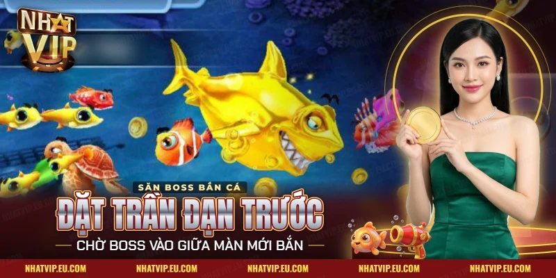 Mẹo săn boss bắn cá Nhatvip với con boss cá mập vàng bơi giữa đàn cá nhỏ