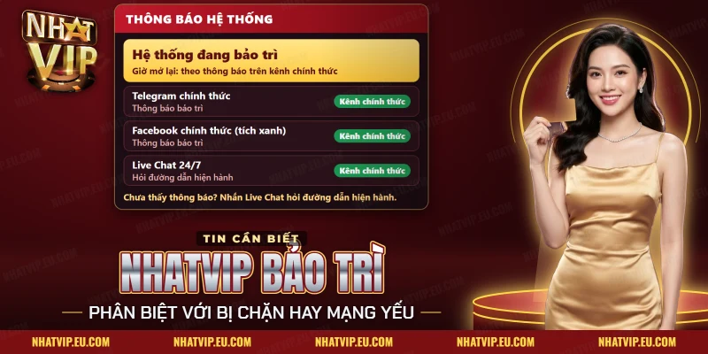 Nhatvip Bảo Trì: Nguyên Nhân, Mốc Chờ Và Cách Tự Kiểm Tra