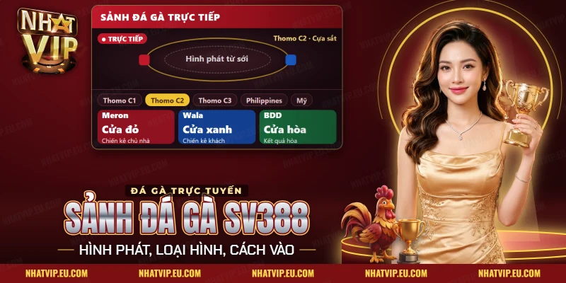 Sảnh đá gà SV388 Nhatvip: luồng hình phát từ sới Thomo kèm ba cửa Meron, Wala, BDD
